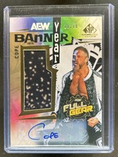 2025 SP Game Used AEW Wrestling Checklist Guide in-content 23
