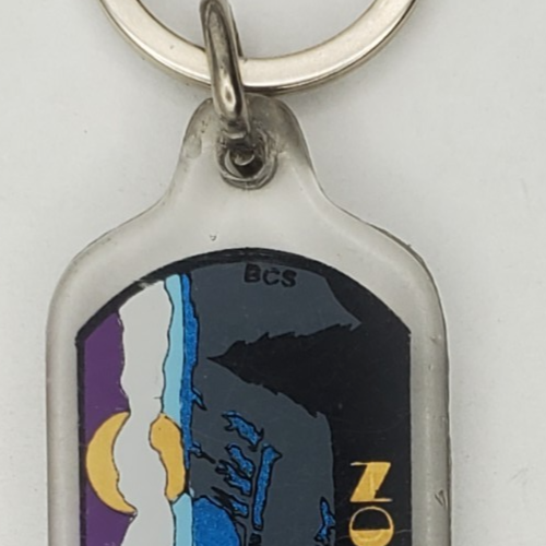 Vintage Two Sided Grand Canyon Arizona Landscape Acrylic Keychain Keyring by BCS - Picture 3 of 7
