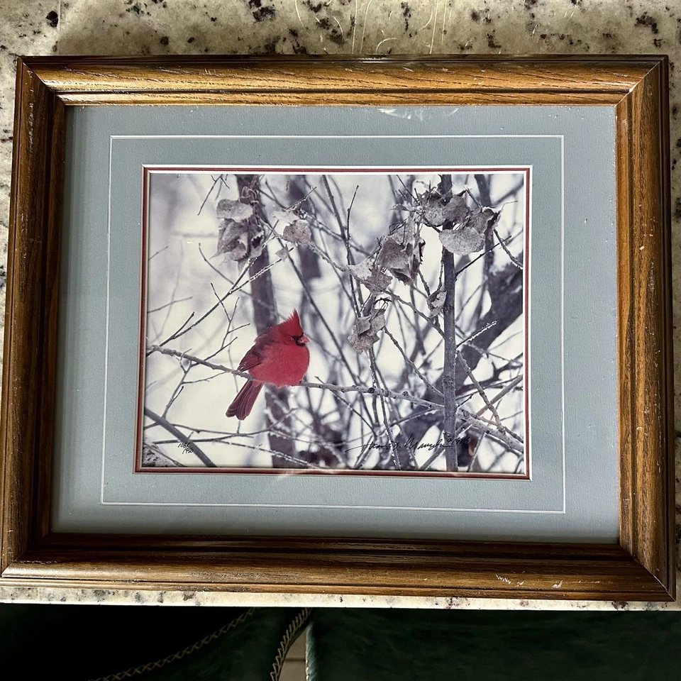 Impresión edición limitada firmada por Thomas D Mangelsen 106/950 “Invierno escarlata” 13x16 Foto 4 de 4