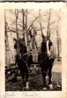 Dad s Team Logging Wagon Horses Workhorses Photograph c 1910s Black White