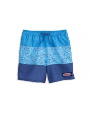 Vineyard Vines Chappy Swim Trunks Boys Color-Block Size 7 NO DRAWSTRING