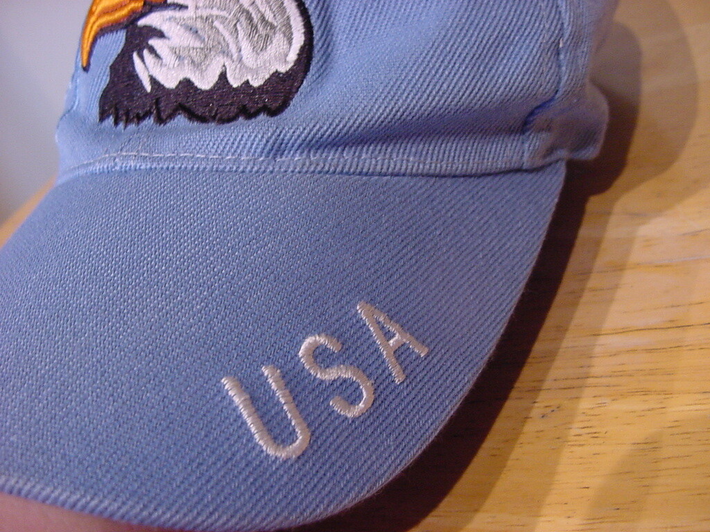 AMERICAN EAGLE USA ADJUSTABLE HAT - image 2