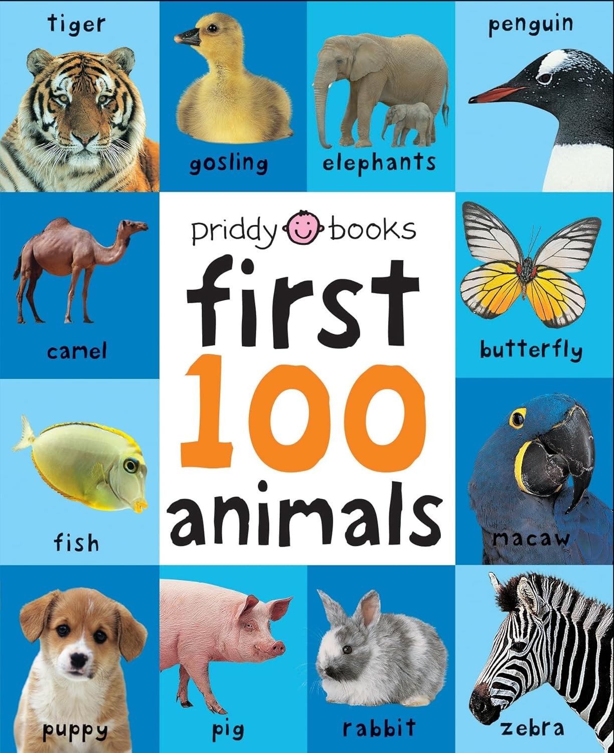 Animals: First 100 Soft To Touch by Roger Priddy HARDBACK 9781849154215 - Image 8