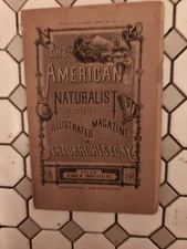The AMERICAN NATURALIST  Illustrated Magazine Vol 1 1876.  First Issue Good Cond