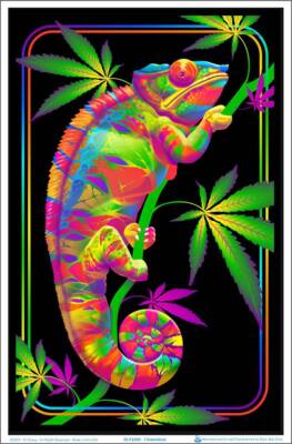 Chameleon Blacklight Poster 23'' x 35''