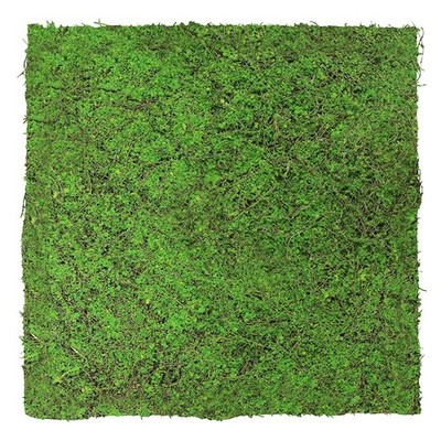 JANGAL Modular Wall Pflanzenwand  520 x 520 mm Nature Design Forest Green Tree