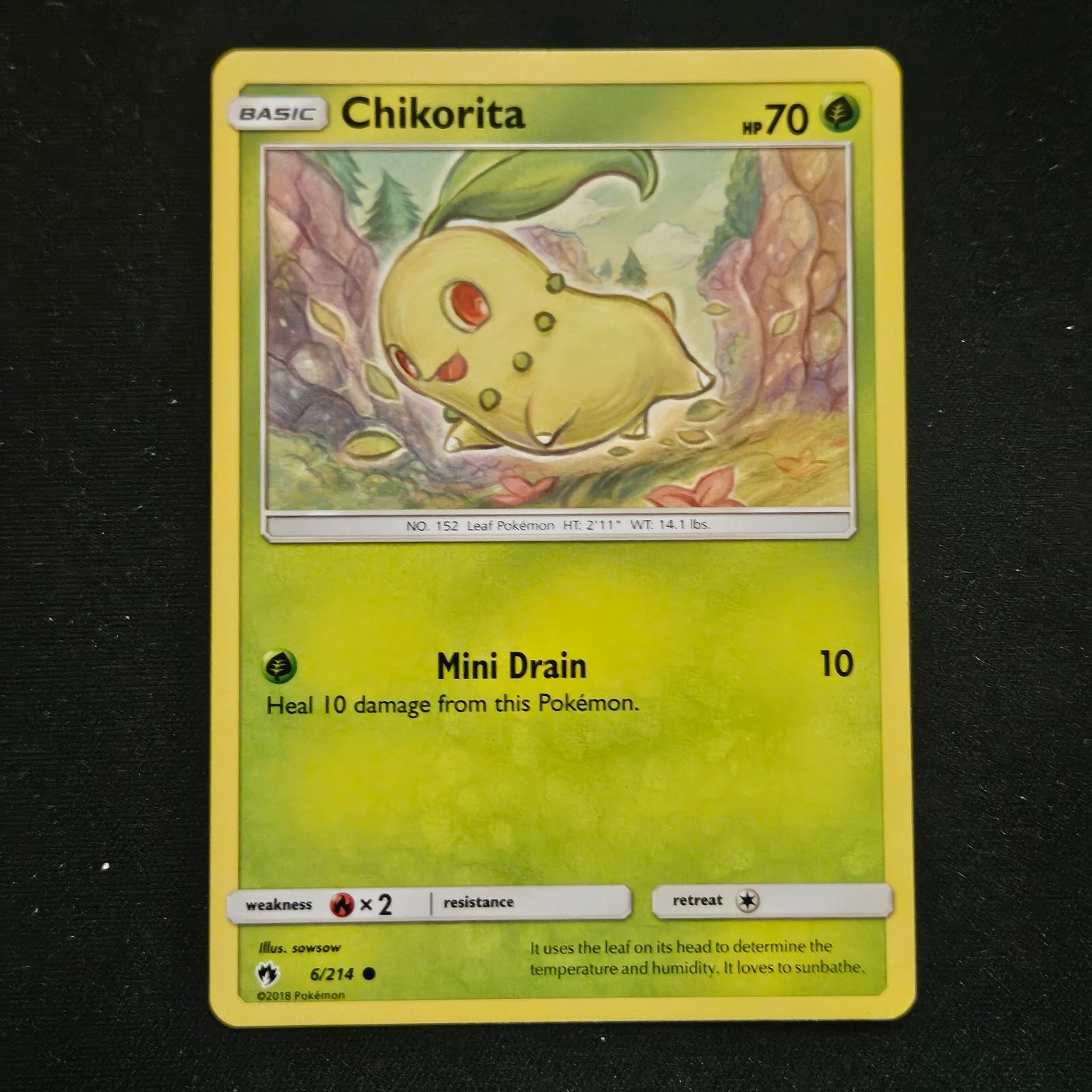 Pokemon CHIKORITA 6/214 LOST THUNDER