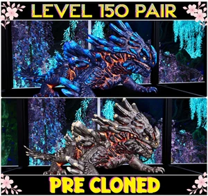 Magmasaur LEVEL 150 Pair Ark🌸 Survival Ascended ASA PVE