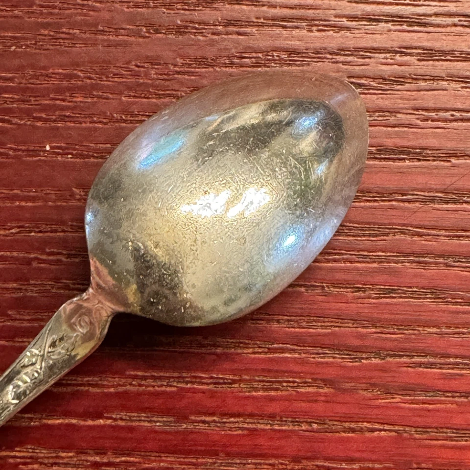 Cuchara Demitasse Wild Rose de 1877 Niagara Falls Silver Co. Oneida plateada Foto 4 de 4