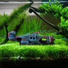 Picture 5 of 9