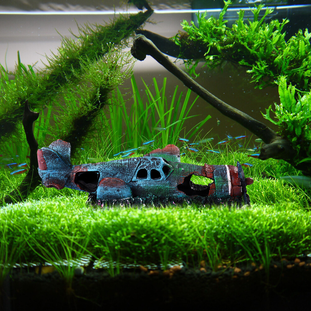 Picture 5 of 9