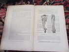 Foto 7 di 8