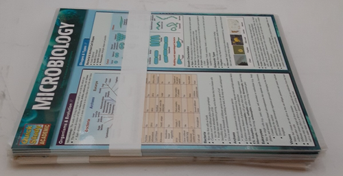 Quick Academic Study laminated learning Aids Lot of 20(2 diff charts 10 of each) - 第 5/5 張圖片