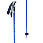 Defiance Ski Poles 2025