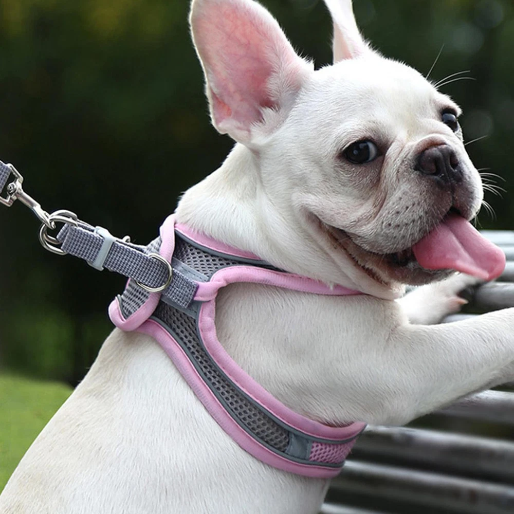 Dog Harness For Small Dog No Pull, Reflective Soft Padded Pet Vest Skin-friendly