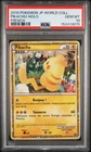 2010 POKEMON JAPANESE WORLD COLLECTION FRENCH PIKACHU-HOLO PSA 10