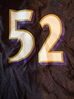 Foto 9 di 11