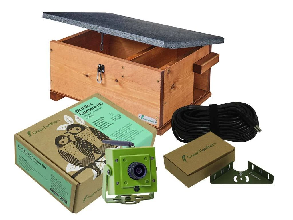 Bird box hotsell camera ebay