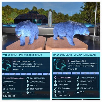 ARK ASCENDED PVE OFFICIAL PAIR BABY DIREBEAR ID95 HIGH STATUS   PC/XBOX/PS5
