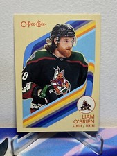 2023-24 O-Pee-Chee OPC Hockey LIAM O’BRIEN #322 RETRO SP