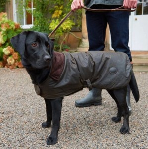 barbour dog jumper