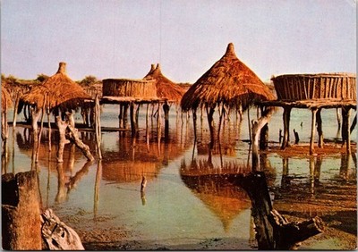 Vintage Postcard Fadiouth Senegal Millet Granaries