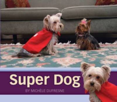 Super Dog - Paperback By Michele Dufresne - GOOD