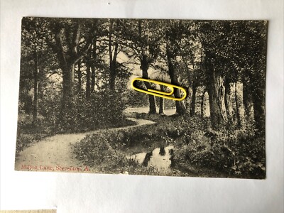 Milton Lane Steventon Oxfordshire Landschaft Straßenansicht 1909