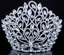 Fancy Beauty Queen Crystal Rhinestone Tiara Crown With Hair Combs Pageant T994