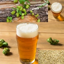 AMERICAN CREAM Pre-Prohibition Lager Extract Beer Brewing recipe Homebrew kit