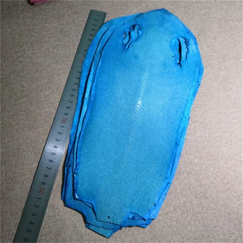 1PCS Real Polished Stingray Shagreen Fish Skin Leather Hide Pelt Various colors - Picture 17 of 36