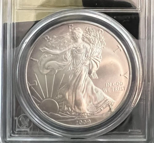 2009 American Silver Eagle Uncirculated Bullion $1 Coin Mark Free!