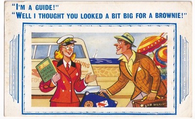 Vintage Bob Wilkin Comic Postkarte 7644 I'm A Guide Not A Brownie Fleetwood 1959