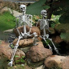 Giant Real Life Size Posable Human Skeleton HalloweenParty Horror Props Decor UK