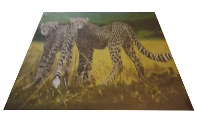 125 cm x 160 cm GEPARDEN ÜBERWURF WEICH LEICHT LEOPARD AFRIKA SAFARI DSCHUNGEL