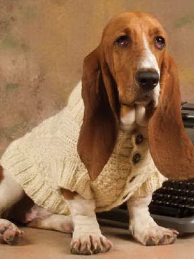 Pet Pleasers for Dog Lovers: Knitting Patterns Sweaters Bag Clothing Doggie Duds - Image 4 of 4