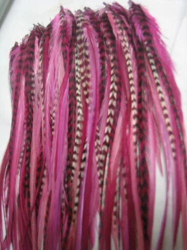 Pet top feather extensions