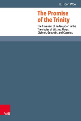 The Promise of the Trinity | B. Hoon Woo | Englisch | Buch | gebunden | 317 S.