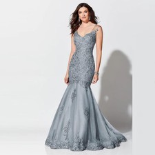 Elegant Mermaid Silver Applique V Neck Mother of the Bride Dresses Sleeveless