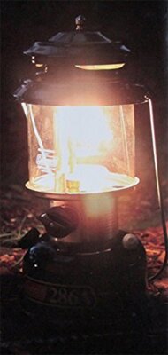 Coleman 286A740J One Mantle Lantern with CaseNEW | eBay