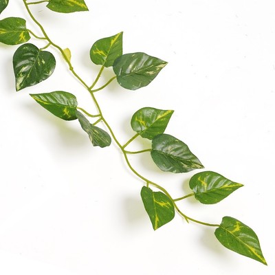 2M Ivy Leaf Garland Green Plant Plastic Vine Foliage Yard Home Garden Decor ATUS 2M Ivy Leaf Garland Green Plant Plastic Vine Foliage Yard Home Garden Decor ATUS