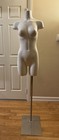 Adult Female White Plastic Torso Dress Form Mannequin with Base