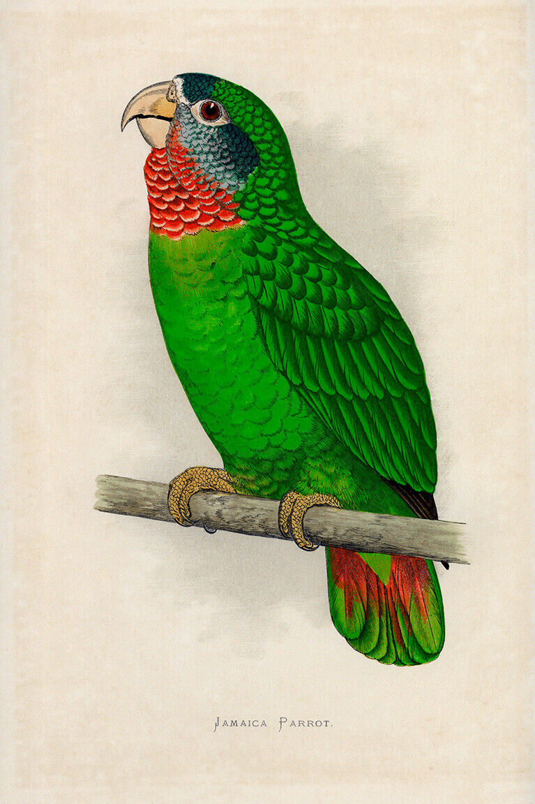 Picture 1 of 6