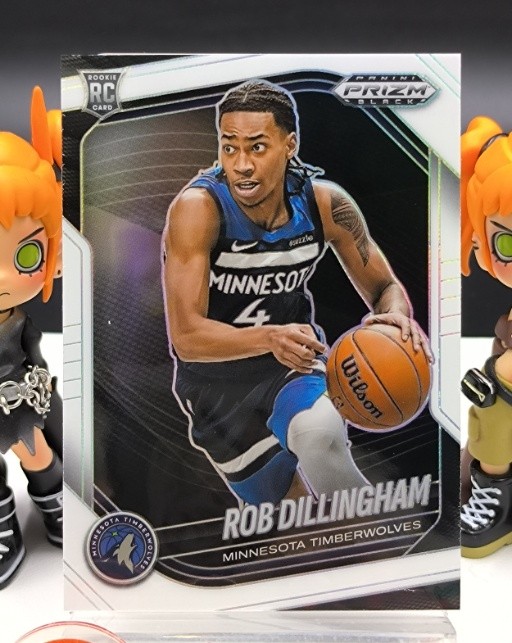 Rob Dillingham 2024-25 Panini Prizm Black  Rookie White /175 #39