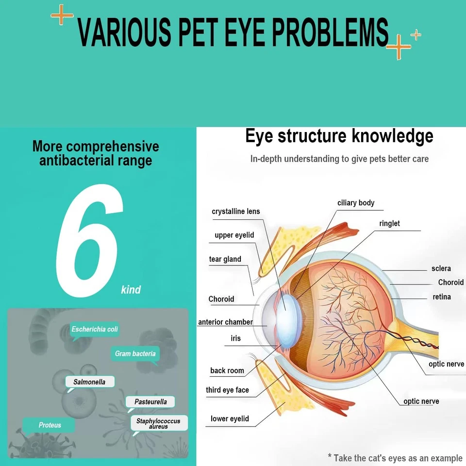 Eye Drops for Dogs, Dog Eye Drops & Cats, Gentle Dog Eye Infection Treatment,... - Image 4 of 4