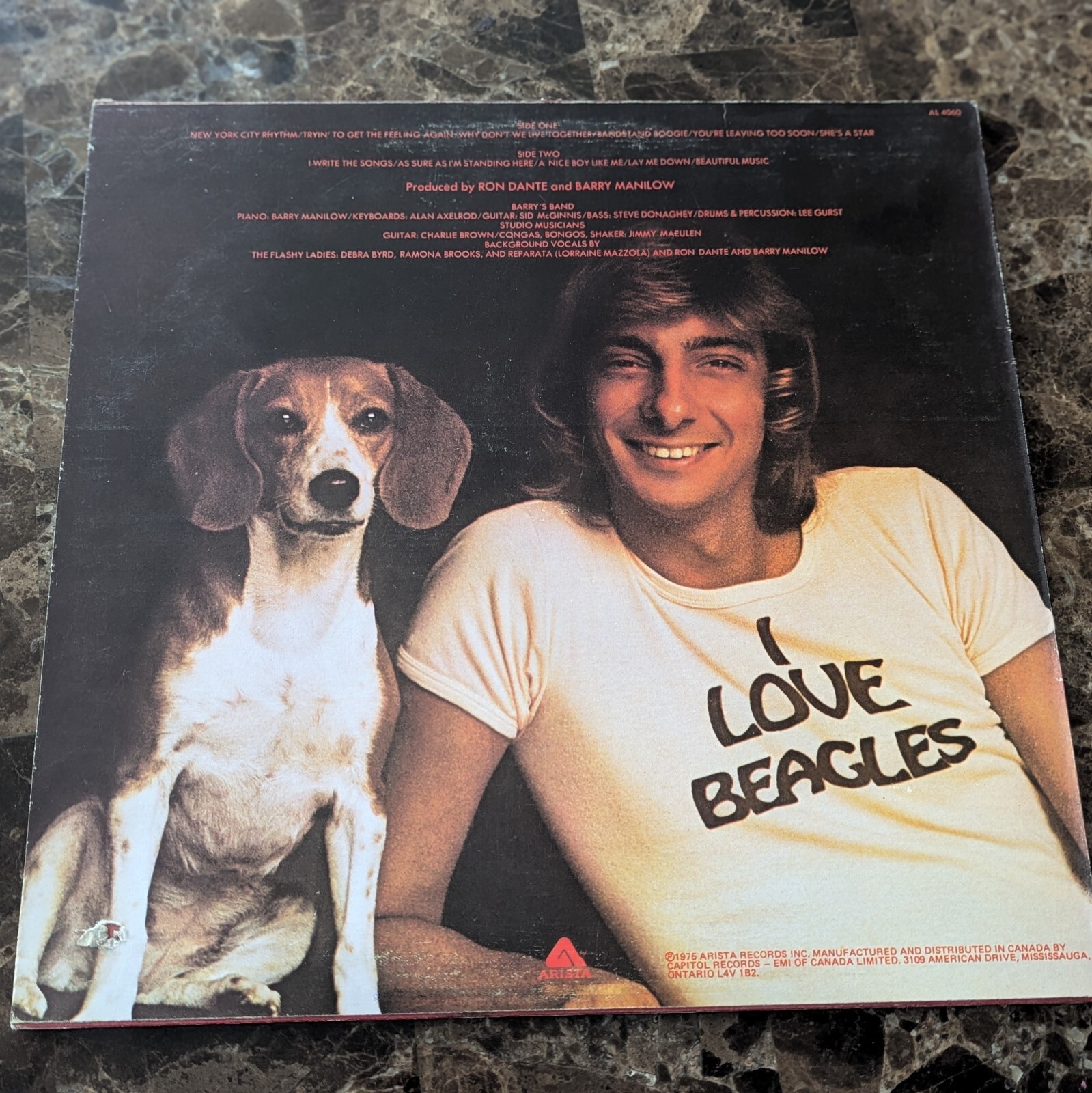 Barry Manilow Vinyl Record Lot Bundle LPs - Good Condition, No Skips image 9