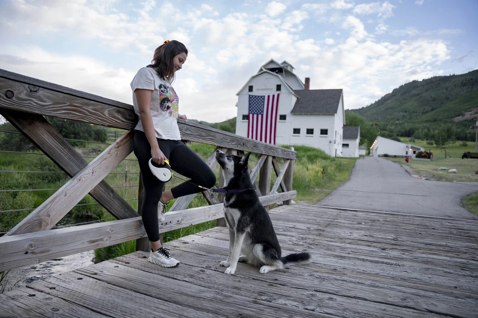 Correa retráctil para perro TUG 360° sin enredos | Pausa de 16 pies, bloqueo, 1 cuenta Foto 2 de 3