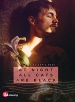 At Night All Cats Are Black - Dvd - G3Z