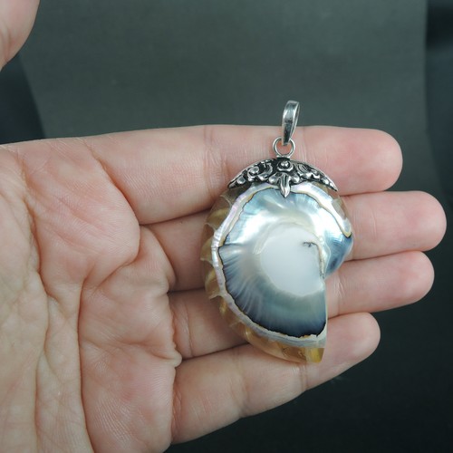 925 Sterling Silver Medium-Large Clear Nautilus Shell Pendant Jewelry, NSP-616 - Picture 4 of 5
