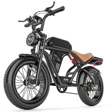 20" Fat Tire Adult Electric Bike 2000W 30MPH 48V 20AH Mountain Off-Road E-Bike